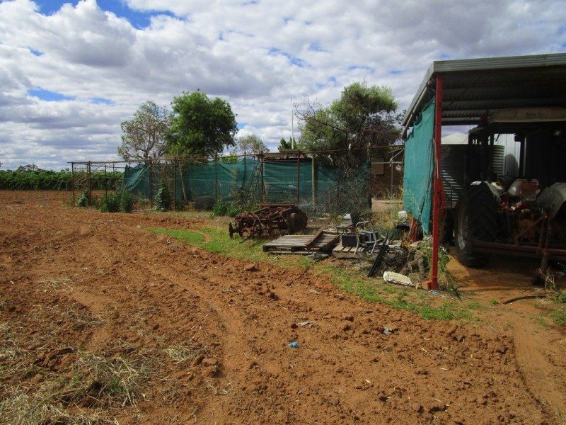 8 Arnold Coates Rd, Cobdogla SA 5346