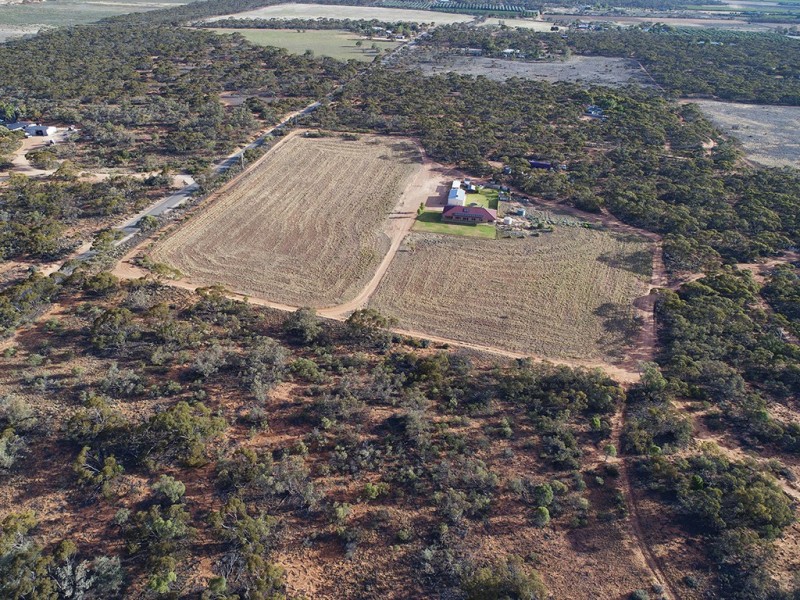 20 Bigg Rd, Berri SA 5343