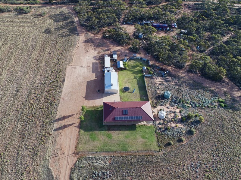 20 Bigg Rd, Berri SA 5343