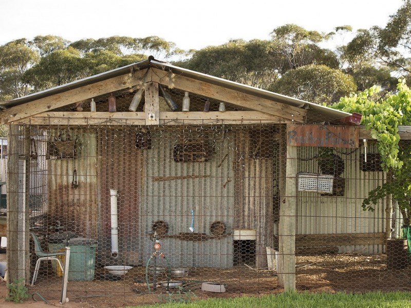 20 Bigg Rd, Berri SA 5343