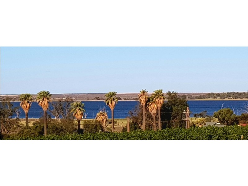 17238 Sturt Highway, Barmera SA 5345