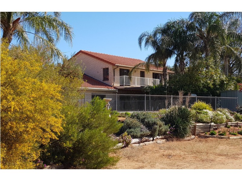 17238 Sturt Highway, Barmera SA 5345