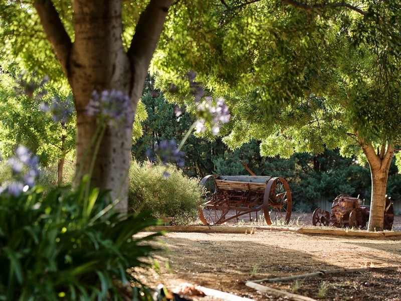 17238 Sturt Highway, Barmera SA 5345