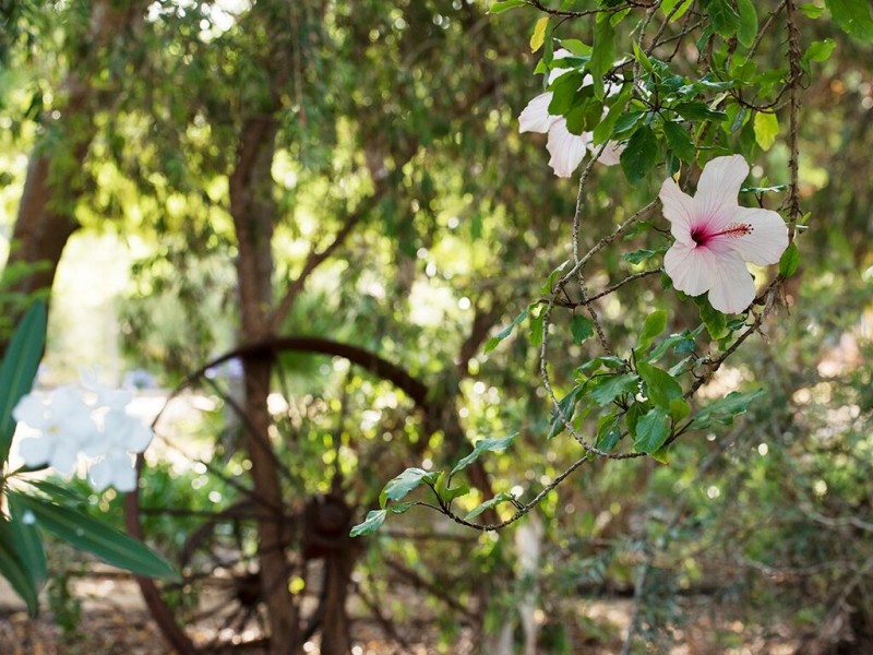 17238 Sturt Highway, Barmera SA 5345