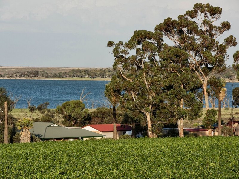 17238 Sturt Highway, Barmera SA 5345