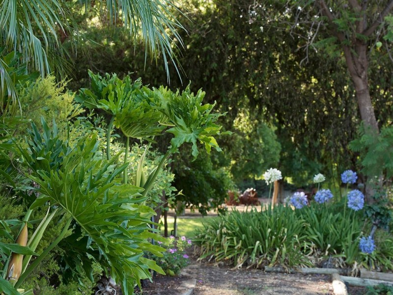 17238 Sturt Highway, Barmera SA 5345