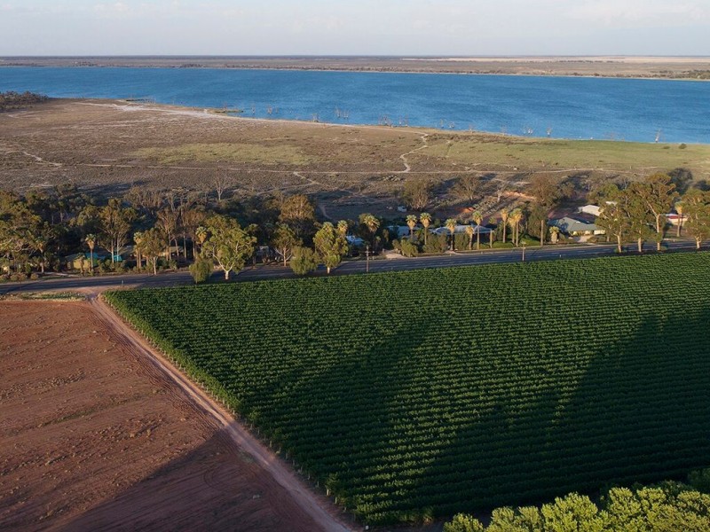 17238 Sturt Highway, Barmera SA 5345