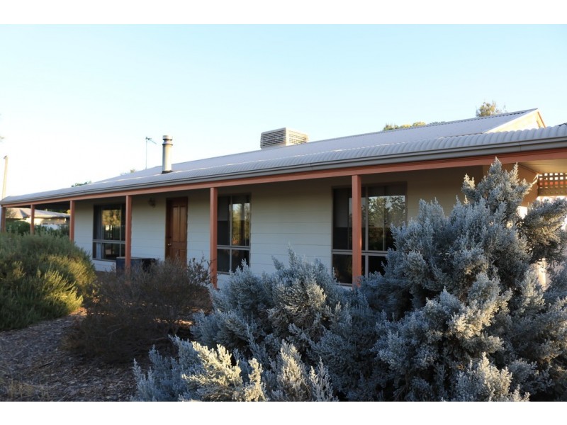 267 Gaskell Road, Barmera SA 5345