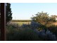 267 Gaskell Road, Barmera SA 5345