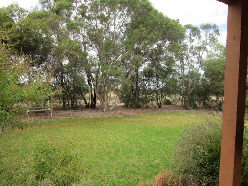 267 Gaskell Road, Barmera SA 5345