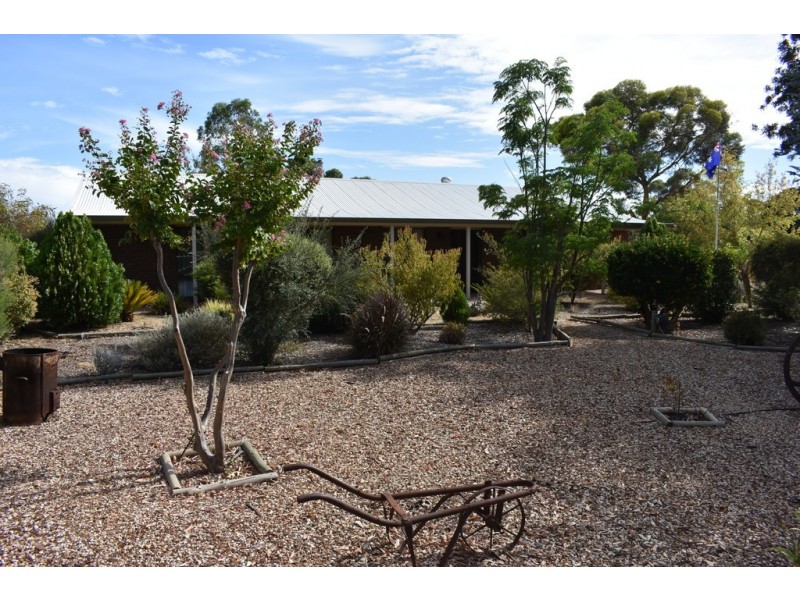 252 Cucumunga Street, Renmark SA 5341