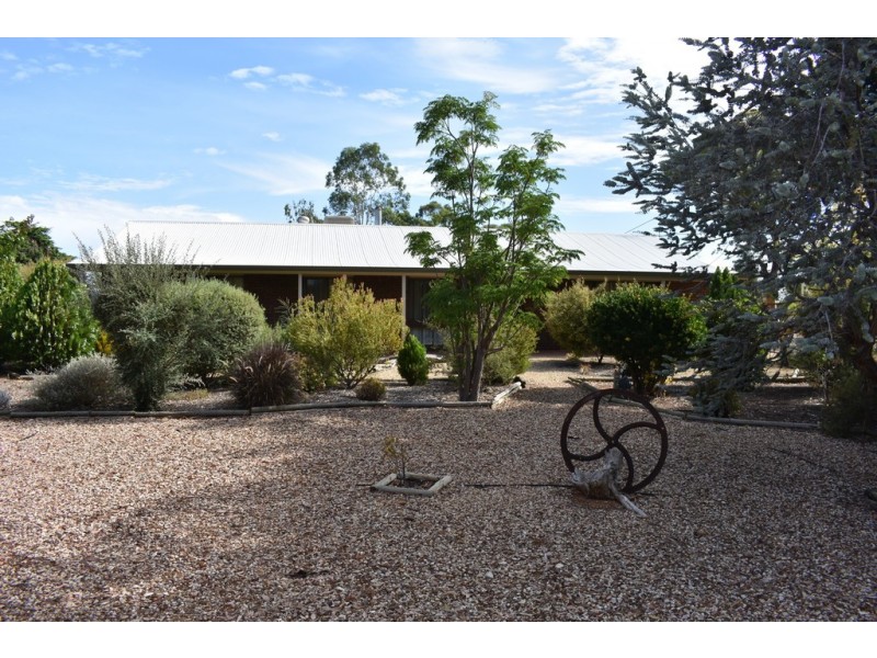 252 Cucumunga Street, Renmark SA 5341