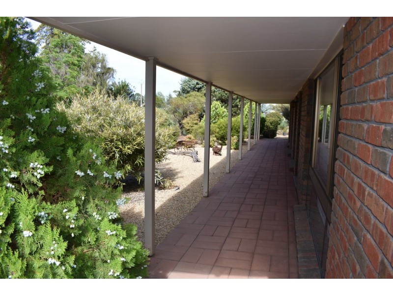 252 Cucumunga Street, Renmark SA 5341