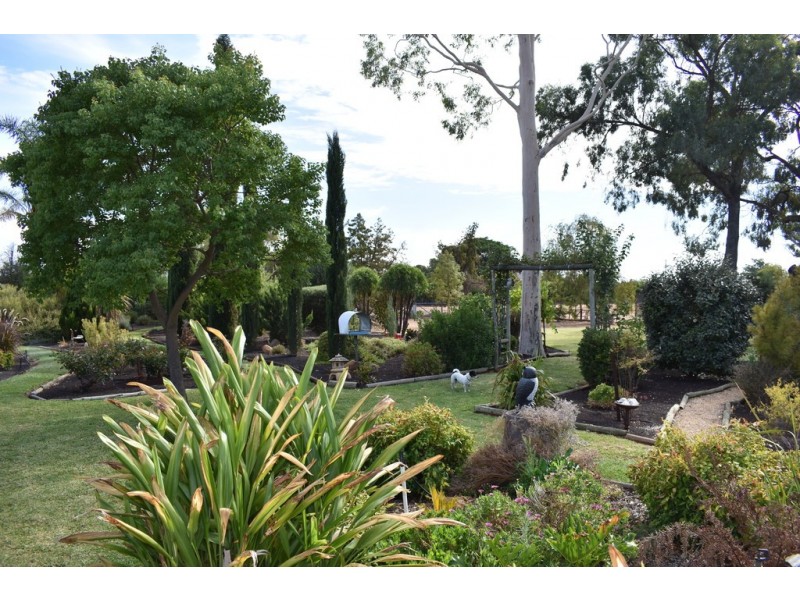 252 Cucumunga Street, Renmark SA 5341