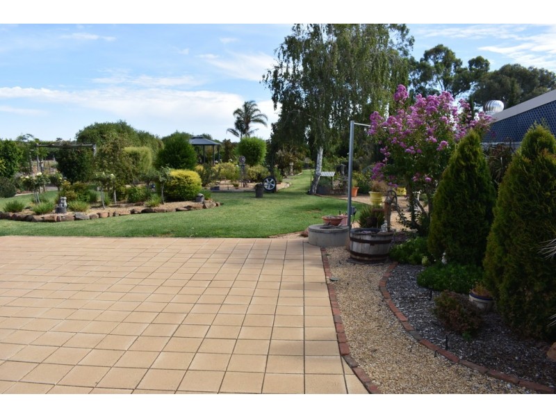 252 Cucumunga Street, Renmark SA 5341