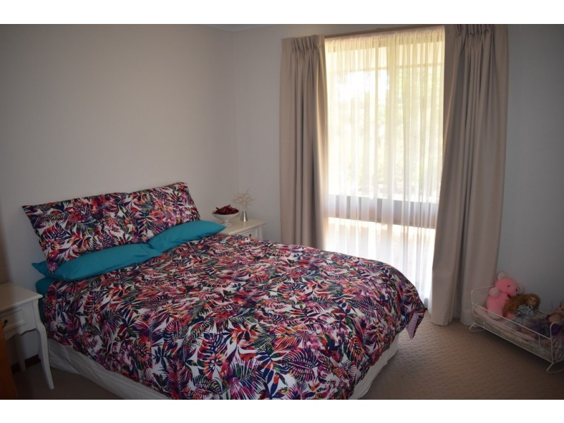 252 Cucumunga Street, Renmark SA 5341