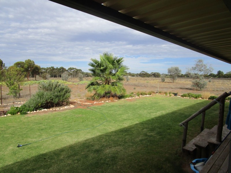 690 Thiele Road, Loveday SA 5345