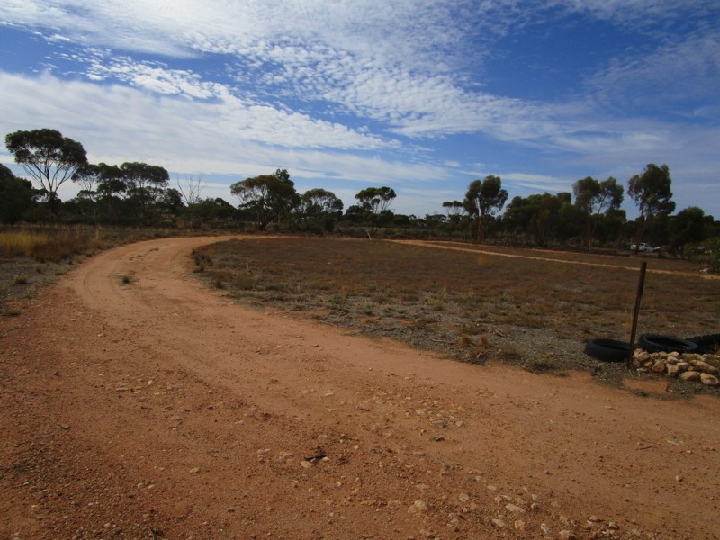 690 Thiele Road, Loveday SA 5345