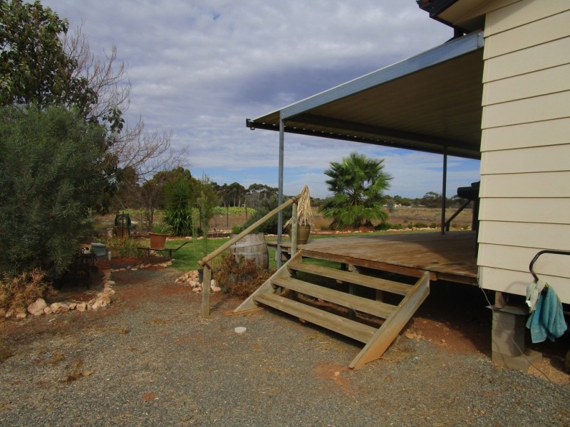 690 Thiele Road, Loveday SA 5345