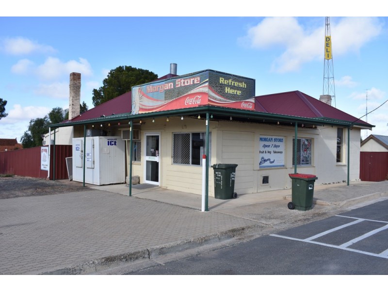 20 Fourth Street, Morgan SA 5320