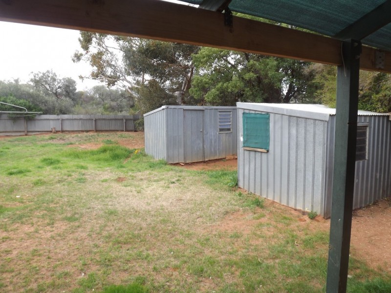 16 Phillips Road, Berri SA 5343