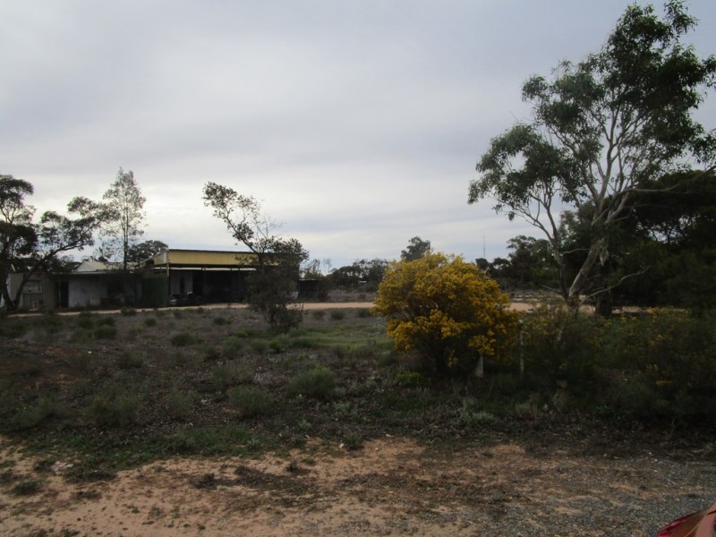 124 Caddy Road, Barmera SA 5345