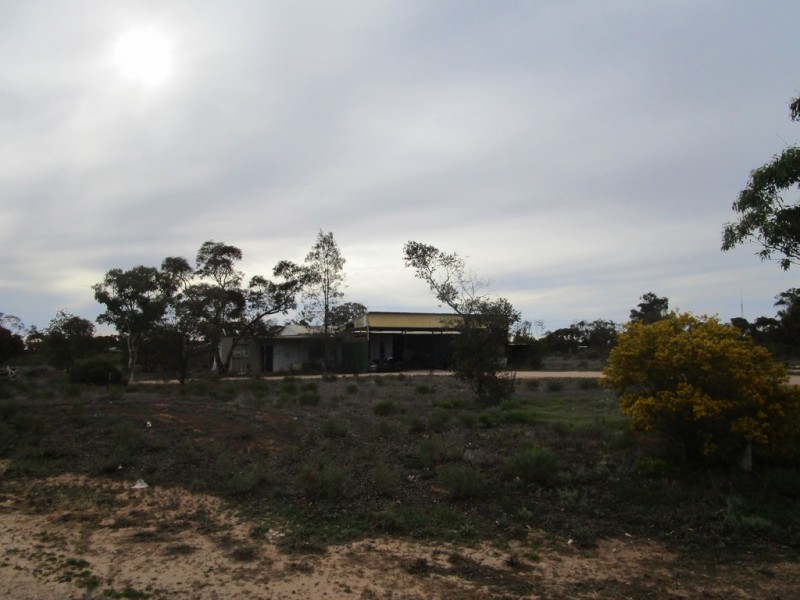 124 Caddy Road, Barmera SA 5345