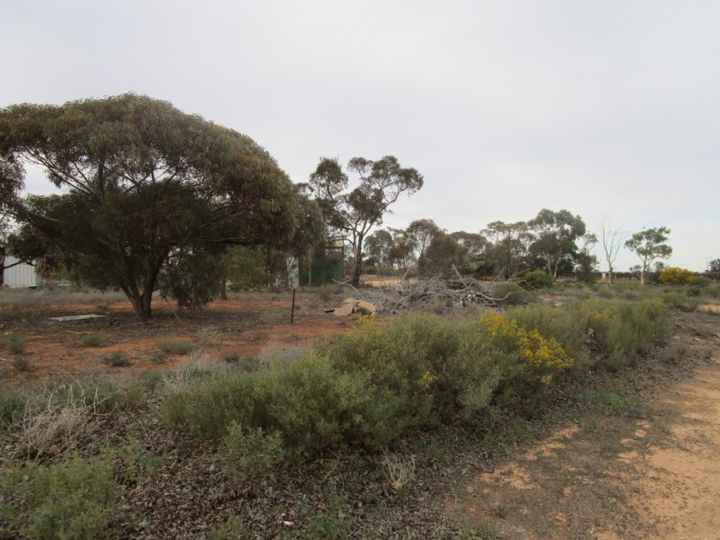 124 Caddy Road, Barmera SA 5345