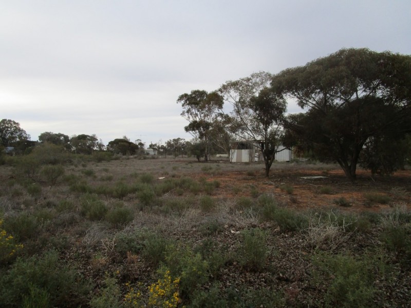 124 Caddy Road, Barmera SA 5345