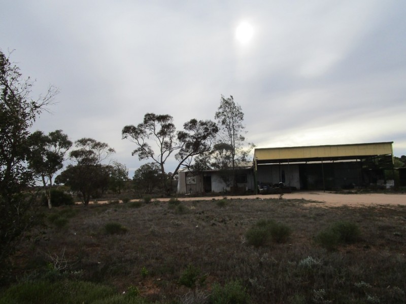 124 Caddy Road, Barmera SA 5345