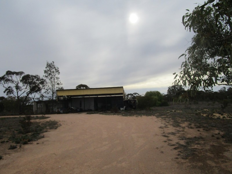 124 Caddy Road, Barmera SA 5345