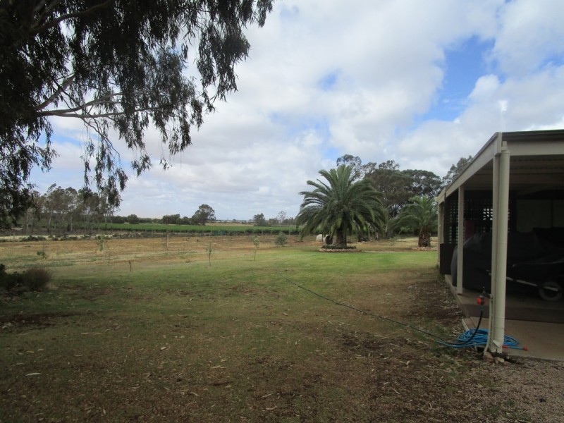 44 Davidson Road, Barmera SA 5345