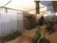 14 Bahnisch Avenue, Berri SA 5343