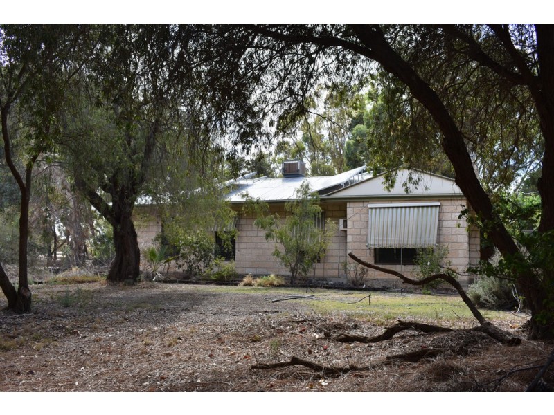 1333 Bookpurnong Road, Loxton SA 5333