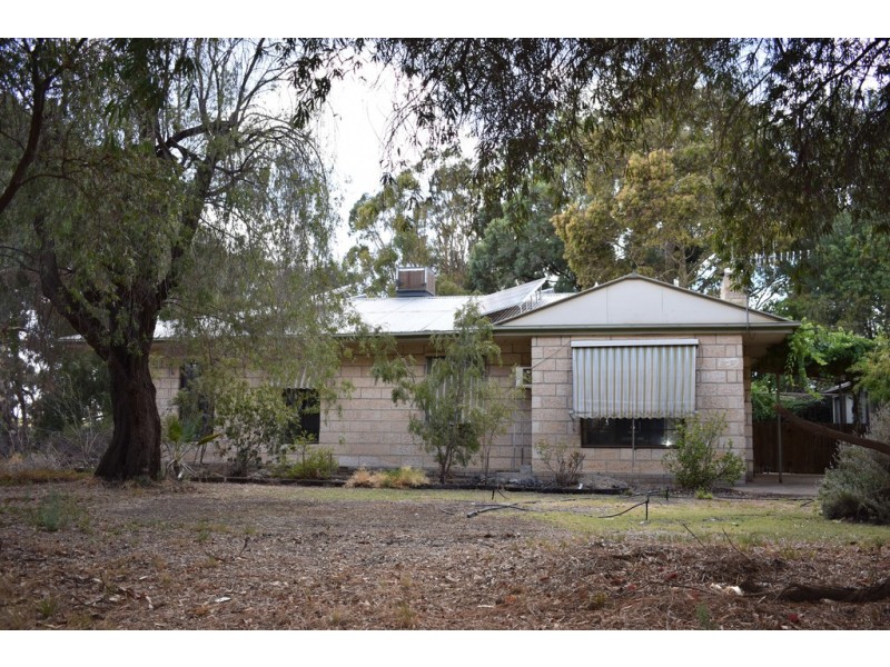 1333 Bookpurnong Road, Loxton SA 5333