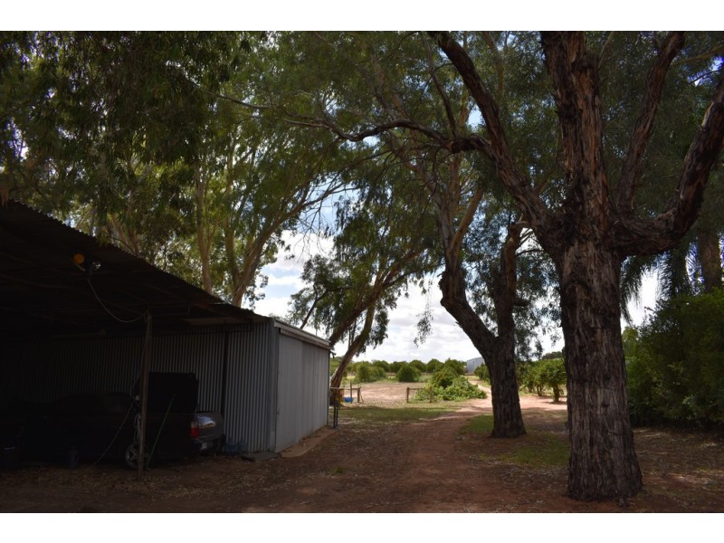 1333 Bookpurnong Road, Loxton SA 5333