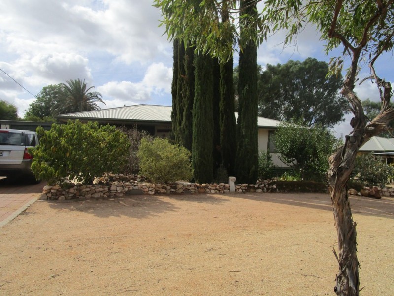 6 Aldenhoven Street, Berri SA 5343