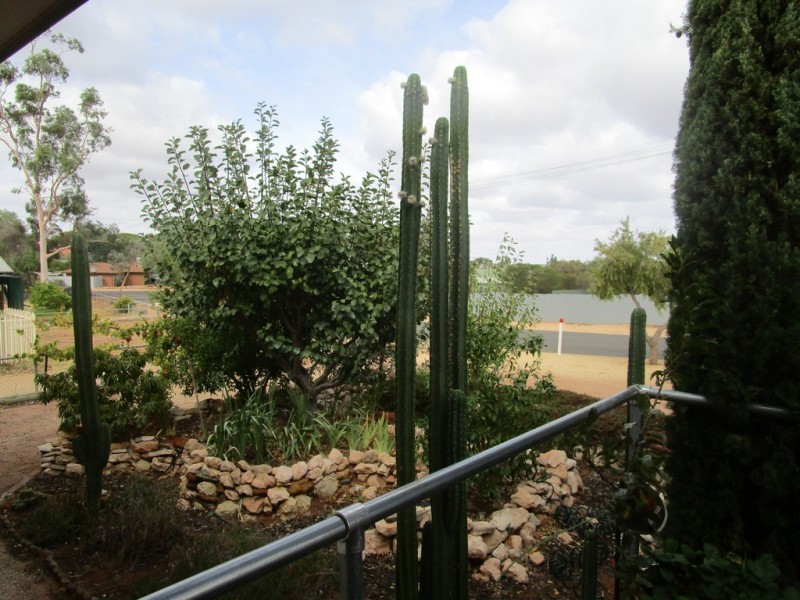 6 Aldenhoven Street, Berri SA 5343