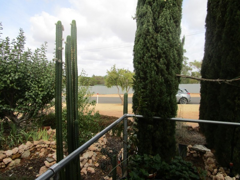 6 Aldenhoven Street, Berri SA 5343