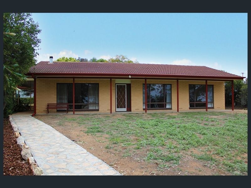 1562 Bookpurnong Road, Loxton SA 5333