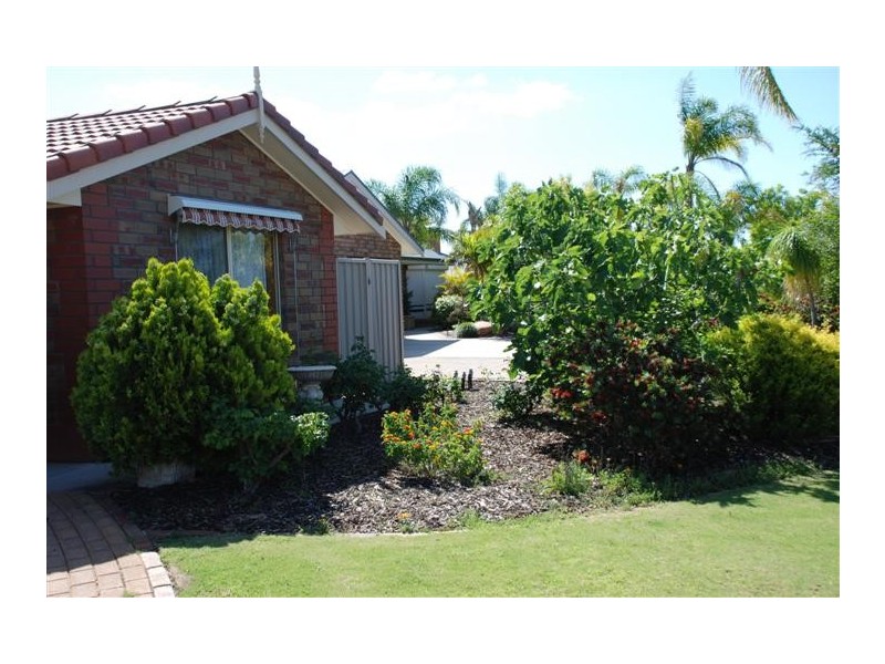 19 Meander Avenue, Renmark SA 5341