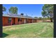 423 Gratwick rd, Loxton SA 5333