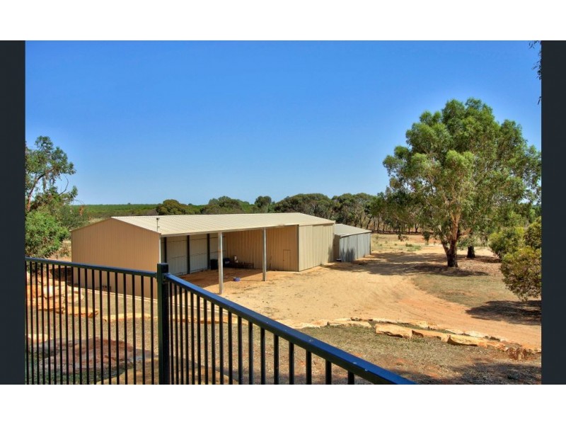 423 Gratwick rd, Loxton SA 5333