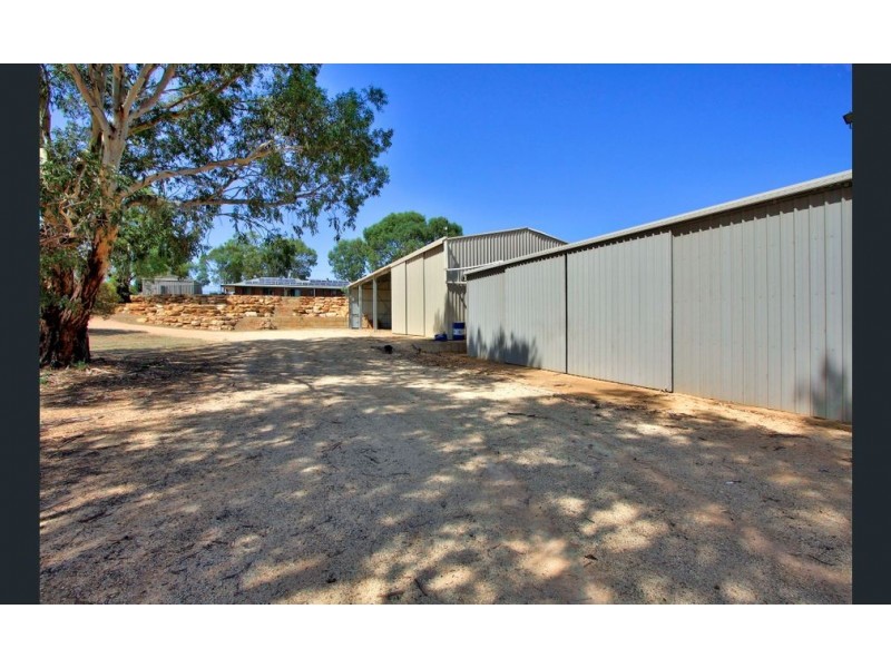 423 Gratwick rd, Loxton SA 5333