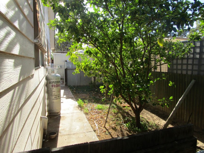 49 Tapio Street, Renmark SA 5341