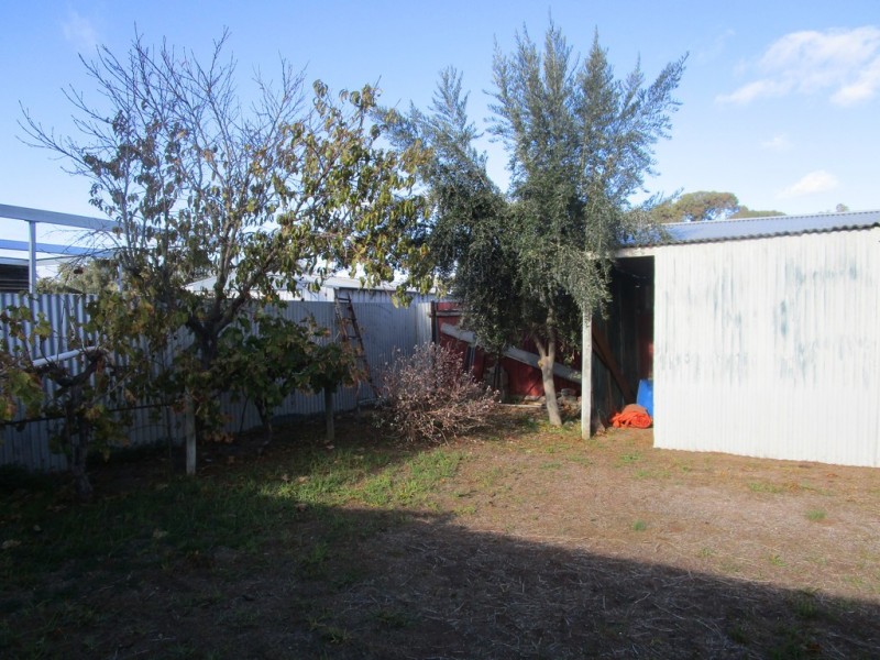 49 Tapio Street, Renmark SA 5341