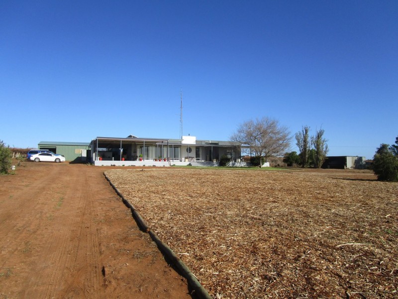 56 Costello Road, Loveday SA 5345