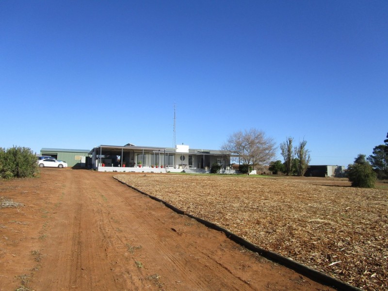 56 Costello Road, Loveday SA 5345