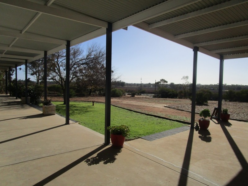 56 Costello Road, Loveday SA 5345