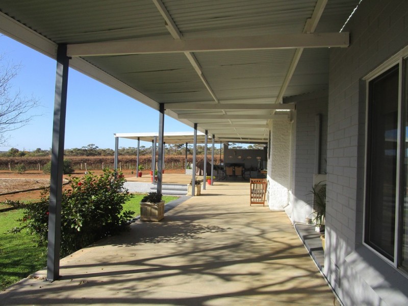 56 Costello Road, Loveday SA 5345